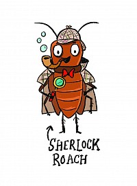 Sherlock Roach